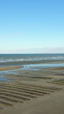 Utah Sahili, Normandiya, Fransa 'da deniz seviyesinin düşük olduğu ve arka planda mavi gökyüzünün olduğu istiridye tarımı yapılarının hava görüntüsü..