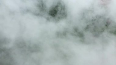 Alçak asılı bulutlar ve sisle kaplı yemyeşil bir ormanın havadan görünüşü gizemli ve sakin bir doğal manzara yaratıyor..