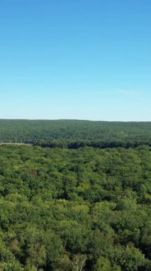 İnsansız hava aracı görüntüleri Fransa 'nın Varzy şehrinde, Cuncy les Varzy yakınlarında açık mavi bir gökyüzünün altında yoğun bir yeşil ormanı gösteriyor. Huzurlu kırsal alan doğa ve kırsal konular için ideal.