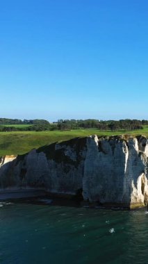 Etretat, Normandiya, Fransa 'da açık bir gökyüzü altında mavi denizin üzerinde dramatik beyaz tebeşir kayalıkları yükselir. Yeşiller yemyeşil ve ormanlık alanlar uçurum boyunca uzanıyor..