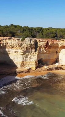 Algar de Benagil, Algarve, Portekiz 'de sahile vuran dalgalarla dramatik kireçtaşı uçurumları ve altın kumlu plajlar. Bereketli yeşil çam ağaçları açık mavi gökyüzünün altındaki kayalıkların tepesinde..