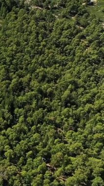 Korsika kırsalındaki yoğun yeşil ormanın ve engebeli arazinin hava görüntüleri doğal bitki örtüsünü ve manzaralı araziyi gözler önüne seriyor..