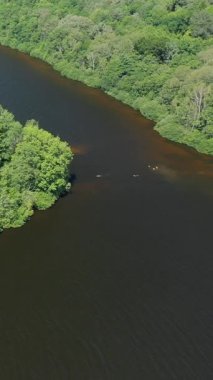 Lac des Settons 'un sakin ve karanlık suların sınırındaki yemyeşil ormanlı insansız hava aracı görüntüsü. Birkaç yüzücü, sık yaz yapraklarıyla çevrili kıyı şeridinde görülebilir..