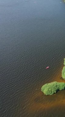 Lac des Settons 'un sakin sularında yemyeşil bir kıyı şeridinin yakınındaki bir kanonun insansız hava aracı çekimi. Burgundy, Fransa 'da huzurlu bir açık hava sahnesi.