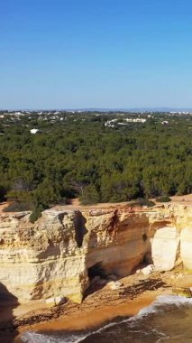 Portekiz, Algar de Benagil yakınlarındaki dramatik kireçtaşı kayalıkları ve yemyeşil orman manzarası, berrak mavi bir gökyüzünün altında..