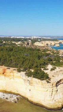 Dramatik kireçtaşı kayalıkları, yemyeşil orman ve açık güneşli bir günde Algar de Benagil, Algarve, Portekiz 'deki mavi Atlantik Okyanusu' nun havadan görünüşü..