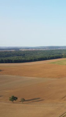 La Grange Treillard yakınlarındaki açık mavi gökyüzünün altındaki tarımsal tarlalara ve uzak ormanlara geniş bir bakış açısı. Altın ve yeşil ekinlerle huzurlu kırsal manzara.