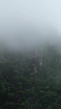 Yoğun yeşil orman, Laos 'un Vang Vieng yakınlarında yoğun bir sabah sisiyle kaplanmış dramatik kireçtaşı kayalıklarını kaplıyor. Huzurlu ve gizemli doğal manzara.