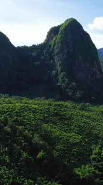 Nong Khiaw, Laos yakınlarındaki yoğun yeşilliğin üzerinde yükselen gür, gür bir orman dağının manzarası, açık mavi bir gökyüzünün altında..