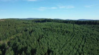 Fransa 'nın Morvan kırsalında, açık mavi gökyüzü altında yuvarlanan yeşil ormanların hava manzarası. Sakin yaz manzarası doğa ve seyahat kavramları için idealdir..