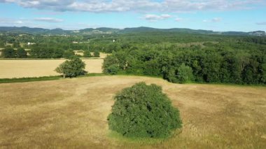 Morvan kırsalındaki altın tarlaların ve yeşil ağaçların havadan görünüşü dağınık bulutlu mavi bir gökyüzünün altında. Uzakta yuvarlanan tepeleri olan huzurlu kırsal alan.