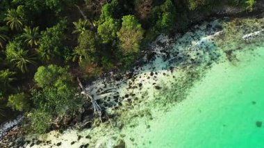 Coconut Beach 'in yukarıdan drone görüntüsü turkuaz su, kayalık sahil şeridi ve verimli tropikal orman. Sahne, tropik bir sahil manzarasının doğal güzelliğini ve huzurunu yakalıyor..