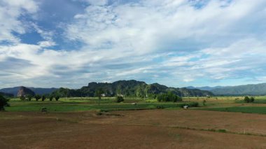 Yeşil tarlalar, dağınık ağaçlar ve Laos kırsalında dramatik bir gökyüzü altında uzak tepeler. Doğal güzelliği ve açık tarım arazisiyle huzurlu kırsal manzara.