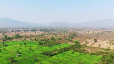 Canlı yeşil tarlalar ve kırsal Lao kırsalında dağılmış ağaçlar, açık mavi gökyüzünün altındaki uzak tepeler. Manzara, ekili ve doğal alanların bir karışımını sergiliyor..