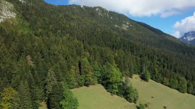 Fransa 'da parçalı bulutlu bir gökyüzünün altında Massif de la Chartreuse dağlarının yamaçlarını kaplayan yemyeşil orman manzarası. Canlı yeşil ağaçlar doğal ve sakin bir manzara yaratır..