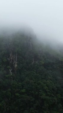 Yoğun yeşil orman, Laos 'un Vang Vieng yakınlarındaki kırsalda kalın bir sis bulutuyla kaplı bir kireçtaşı dağı kaplar. Bereketli bitki örtüsü ve dramatik uçurumlar gizemli ve sakin bir atmosfer yaratır..
