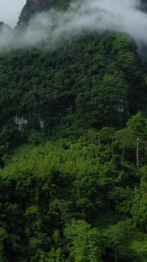 Yoğun tropikal ormanlar, Muang Ngoi, Laos yakınlarındaki tepelerin üzerinde sürüklenen sis ile dik dağları kaplar. Canlı yeşillik ve doğal güzellik huzurlu bir manzara yaratır..