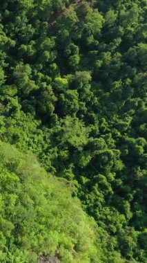 Laos 'un kırsal kesiminde verimli yeşil orman toplantılarının insansız hava aracı görüntüsü ekilmiş tarım arazileri. Tarım alanları ve yoğun bitki örtüsüyle canlı doğal manzara.