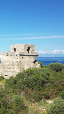 İtalya, Isola di Cirella 'da berrak bir gökyüzünün altında sakin mavi denize bakan yemyeşil Akdeniz manzarası.