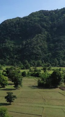Laos kırsalında mavi gökyüzünün altındaki yeşil tarlaların ve ormanlık tepelerin manzarası. Dağılmış ağaçlar ve dağ zeminiyle huzurlu kırsal doğa.