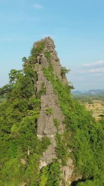Laos kırsalında yemyeşil bitki örtüsüyle kaplı dramatik kireçtaşı uçurumlarının hava manzarası. Açık mavi gökyüzü ve uzak tepeler kırsal alanın doğal güzelliğini arttırır..