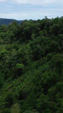 Laos kırsalında bulutlu bir gökyüzü altında yuvarlanan tepeleri kaplayan yoğun tropikal ormanın manzarası. Canlı doğal yeşillik ve el değmemiş vahşi doğa bir huzur hissi uyandırıyor..