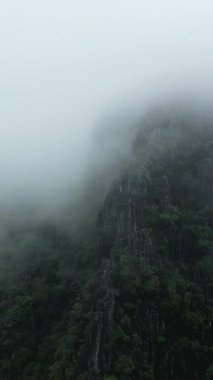 Vang Vieng, Laos yakınlarında sis ve bulutlarla kaplı dramatik kireçtaşı dağları. Bereketli yeşil bitki örtüsü engebeli tepeleri kaplayarak gizemli ve atmosferik bir manzara yaratır..