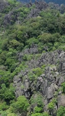 Laos kırsalında yoğun yeşil ormanlarla kaplı engebeli kireçtaşı oluşumlarının havadan görünüşü. Dramatik kayalar ve canlı bitki örtüsüyle doğal manzara.