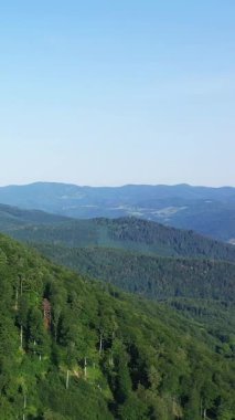 Lush green forested hills stretch into the distance under a clear blue sky near Chateau du Haut-Koenigsbourg in Alsace, France. Serene summer landscape with rolling mountains and dense woodland.