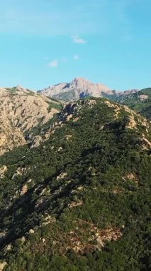 Scenic view of rugged mountains and lush green hills under a clear blue sky in the Corsican countryside. Natural beauty and untouched wilderness are highlighted in this tranquil landscape.