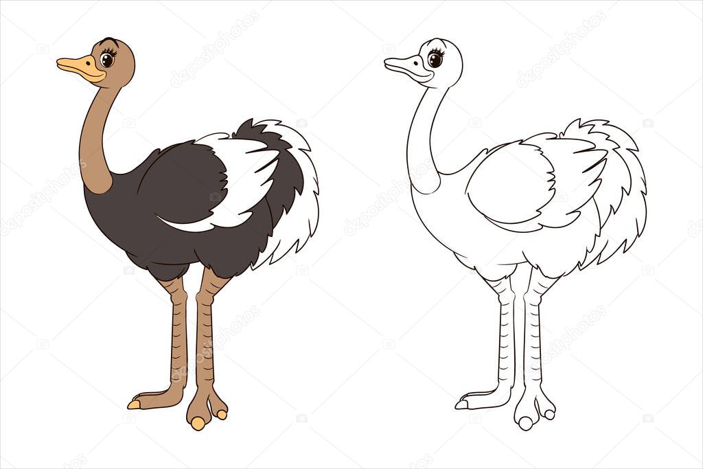 Coloring book: Long-legged cute ostrich stands with its neck extended, page for children. Vector illustration of isolated lines in cartoon style