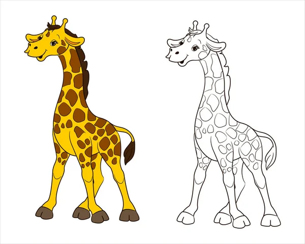 Egy hosszúnyakú foltos zsiráf. Színező oldal gyerekeknek fekete-fehér. Vektor illusztráció rajzfilm stílusban, elszigetelt vonal művészet — Stock Vector