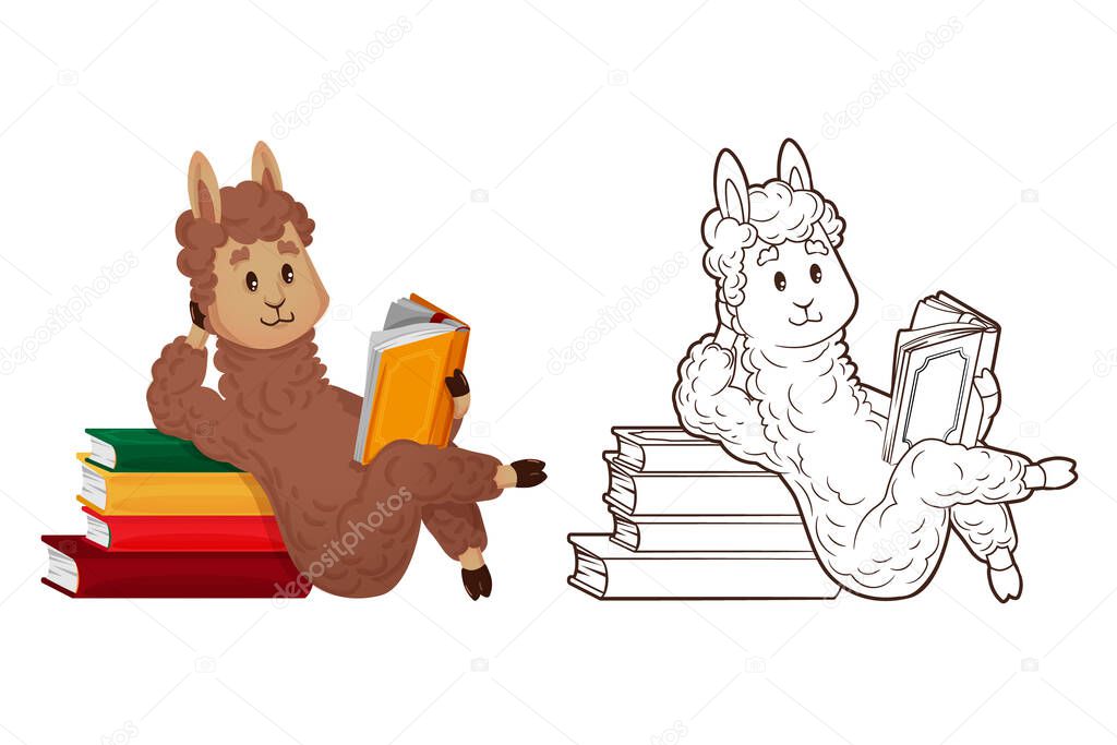 Coloring book, cute lama is reading lying down, leaning on a stack of books. Vector illustration in cartoon style, line art, flat