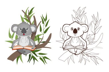 Boyama kitabı, okaliptüs dalları üzerine kitap okuyan küçük bir koala. Çizgi film tarzında vektör illüstrasyonu, çocuklar için siyah-beyaz çizgi sanatı.