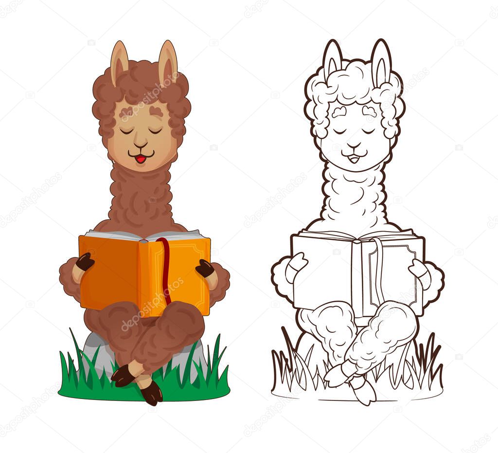 Coloring book, cute lama is reading lying down, leaning on a stack of books. Vector ,illustration in cartoon style, line art, flat