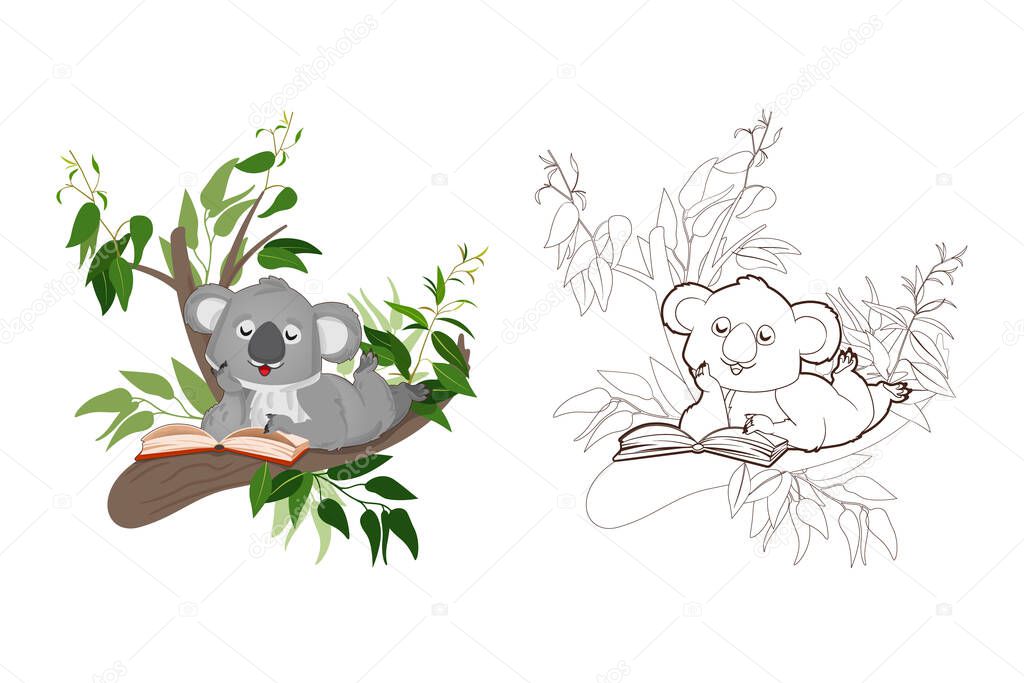 Coloring book, little koala reading a book sitting on eucalyptus branches.Vector ,illustration in cartoon style, black and white line art for children