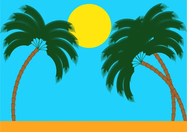 Verano, sol, palmeras — Vector de stock