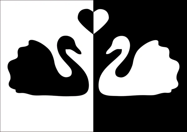 Le cygne noir sur cygne blanc et blanc sur cygne noir — Image vectorielle