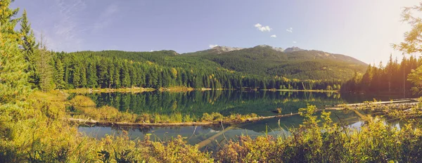 Panorama Whistler Lost lake surround with green pine taiga forest and Phalanx mountain background in summer sunset at British Columbia, Canada in cinematic tone wiht flare