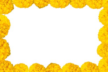 Sarı bahçe çiçekleri çerçevesinden