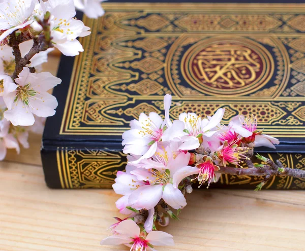 Священный Коран с цветущей ветвью миндаля Лицензионные Стоковые Изображения