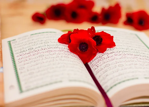 Открытый священный Коран с красными цветами Стоковое Фото