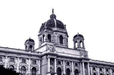 Wien giden yol