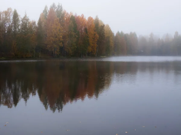 Misty manhã no lago — Fotografia de Stock