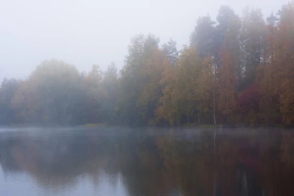 湖の霧のかかった朝 — ストック写真