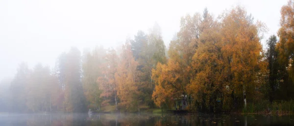 Misty manhã no lago — Fotografia de Stock