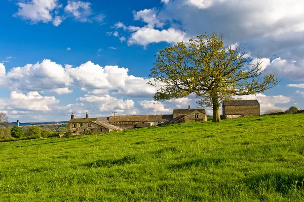 Abandonner la ferme — Photo