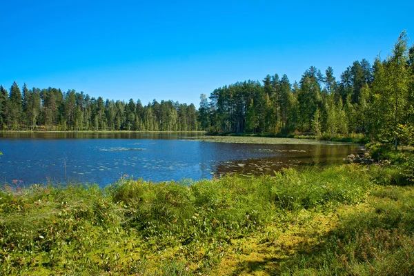 Фінська краєвид — стокове фото