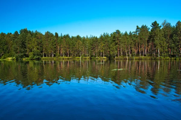 Reflectie van bomen in het meer — Stockfoto