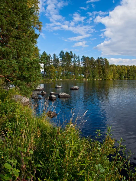 Vivid vertical picture of lake — Stock Photo, Image